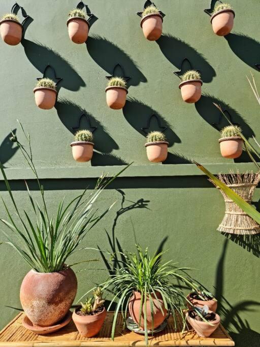 Riad Olive Privatif 4 Personnes Hotel Marrakesh Buitenkant foto