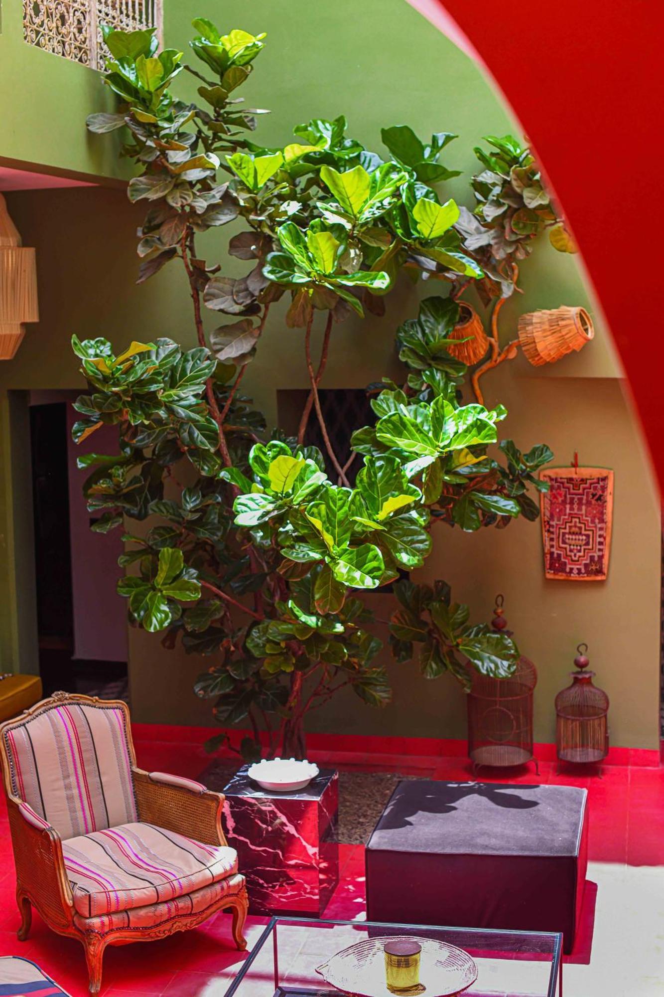 Riad Olive Privatif 4 Personnes Hotel Marrakesh Buitenkant foto