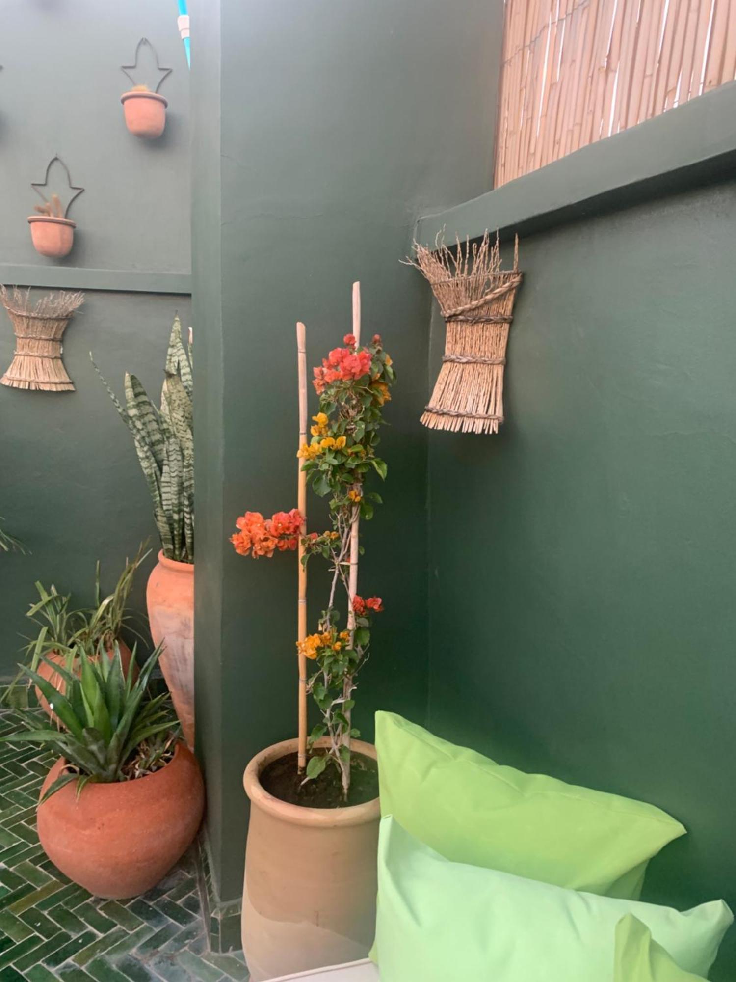 Riad Olive Privatif 4 Personnes Hotel Marrakesh Buitenkant foto